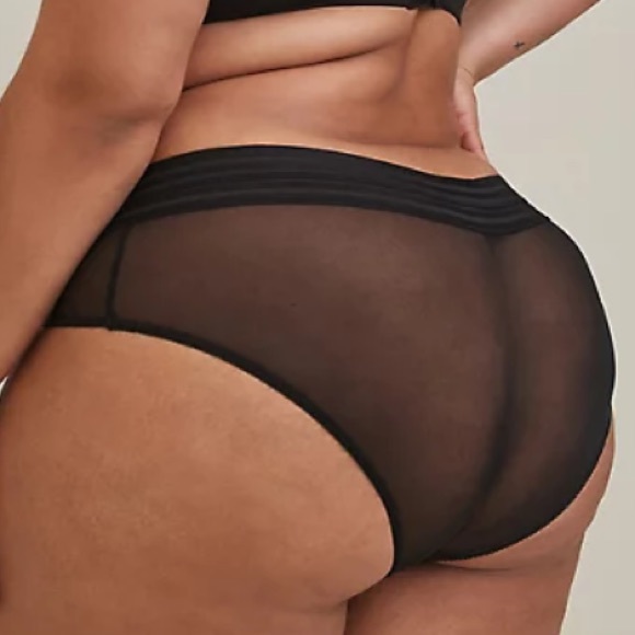 Torrid Sexy Mesh Hipster Panties! NWT! Size 1X - Picture 3 of 4